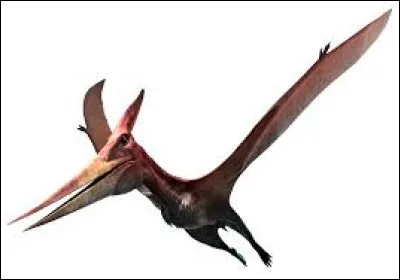Quel dinosaure volait ?