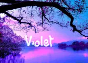 Quiz Le violet