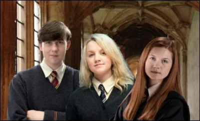 Que veux-tu qu'il y ait dans ta baguette ?