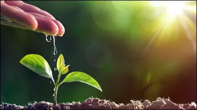 As-tu la main verte ?