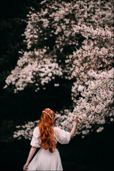 À qui ressemble Avery au gala ?