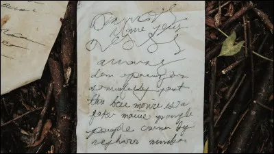 Quelle est la première chanson dont Namie Amuro a écrit les paroles ?