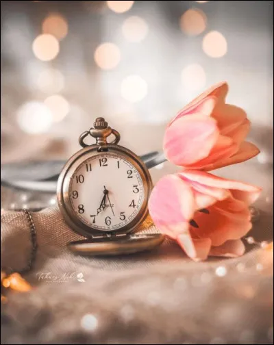 Retrouvez le titre du roman de Bernard Werber :