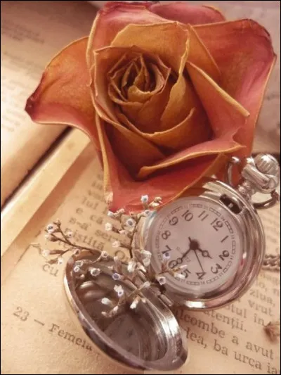 Que nous a écrit Anne Philipe, relatant sa relation avec l'acteur Gérard Philipe ?