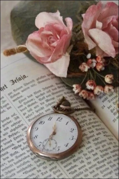 Qui est l'auteur du livre "Le Temps des amours" ?