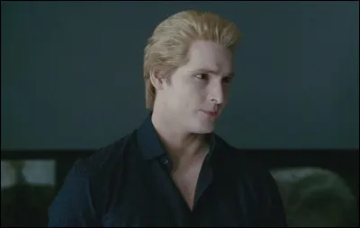 Quelle est ta couleur de cheveux ?