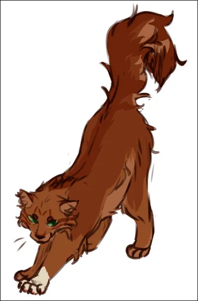 Mentalement, es-tu énergique ?