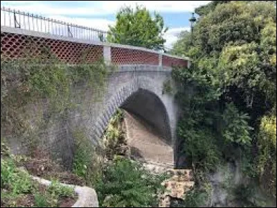 Sachant que ''Le pont des Suicidés'' est une passerelle piétonne franchissant le lac du parc des Buttes-Chaumont, dans quelle grande ville est-il situé ?