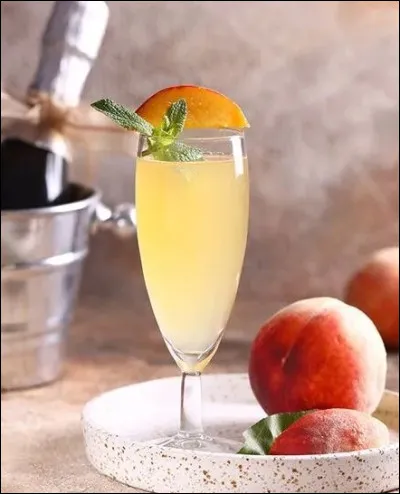 À qui doit-on l'opéra "les Puritains" ?