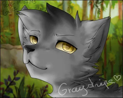 Son nom d'apprenti est Nuage Gris.