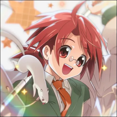 Comment sappelle le sort final utilisé par Negi lors du tournoi magique ?