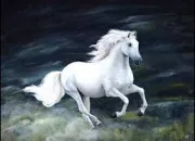 Quiz Tous  cheval