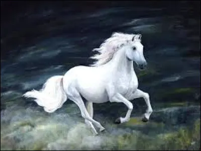 De quelle famille fait partie le cheval ?