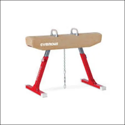 Dans quelle discipline de la gymnastique trouve t-on le cheval d'arçons ?