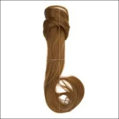 Quel célèbre footballeur portait une queue-de-cheval ?