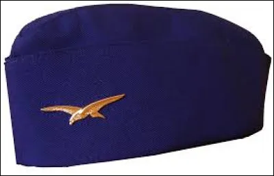 Quel est l'autre nom du bonnet de police ?