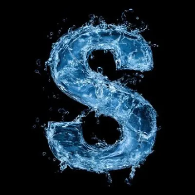 L'organisation "SS" était contrôlée par...