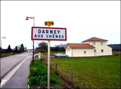 Dans quel département se situe la ville de Darney-aux-Chênes ?