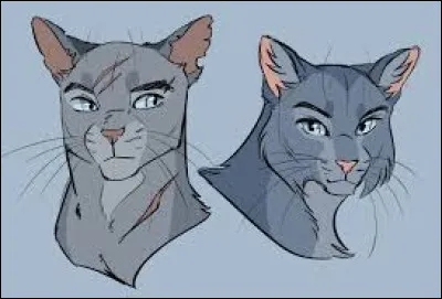 Avant de mourir, Pelage de Silex et Patte de Brume, ses deux petits survivants, lui ont pardonné de les avoir donnés au Clan de la Rivière. Est-ce vrai ?