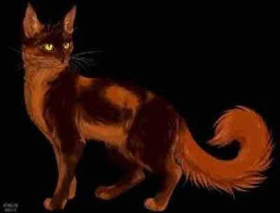 Étoile Bleue avait un lieutenant avant Cur de Lion, Griffe de Tigre et Cur de Feu, mais comment s'appelait-il ?