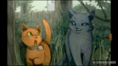 Où était le premier lieu de rencontre d'Étoile Bleue et Rusty ?