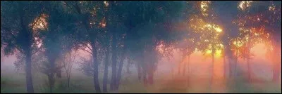 Pour terminer, quelle saison préfères-tu ?