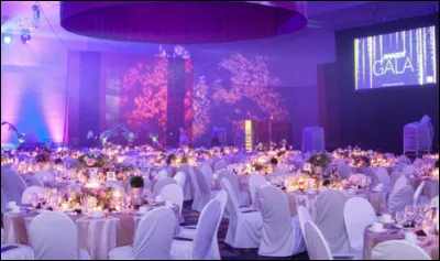 Pour finir, organiser quelque chose pour toi, cest :