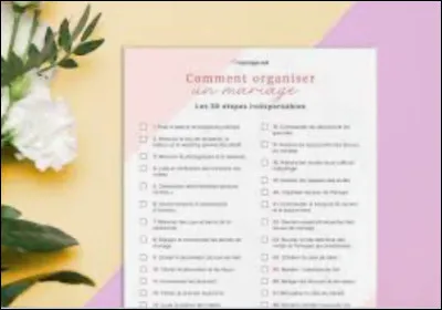 Quand on te confie la planification dun projet, tu :
