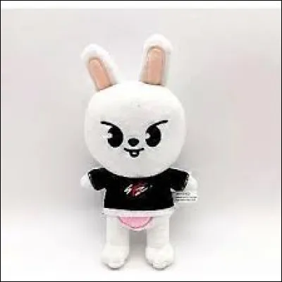 Qui a un SKZoo qui s'appelle Leebit ?