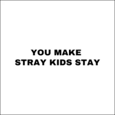 Quel est le slogan de Stray Kids ?