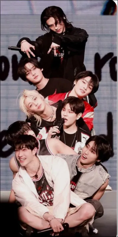 Dans le groupe qui sait parler couramment français ?