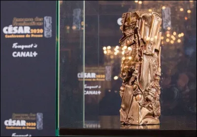 Lors de la 45e cérémonie des César, en 2020, quelle catégorie était absente ?