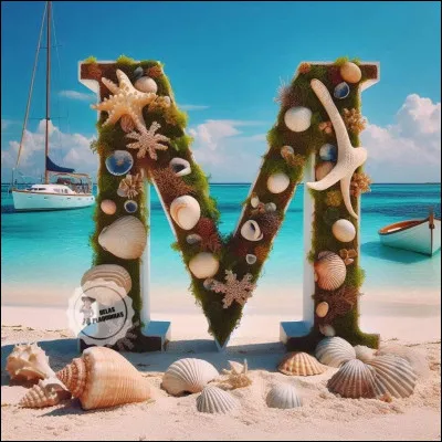 Mouclade : quelle est l'origine de ce plat de moules ?