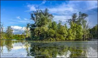 Dans quelle région se trouve la réserve naturelle appelée "La Petite Camargue" ?