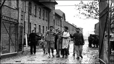 Quel camp est libéré par larmée soviétique en janvier ?