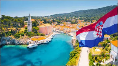 Avec lequel de ces pays la Croatie n'a t-elle pas de frontière terrestre ?