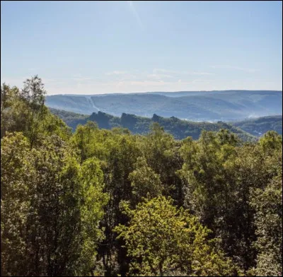 Combien y a-t-il de romans dans la série NÉO de Michel Bussi ?