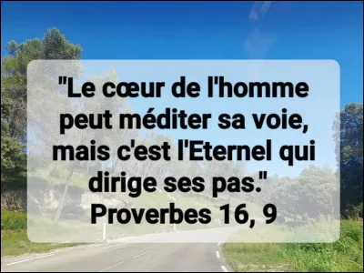 Aimes-tu diriger les gens ?