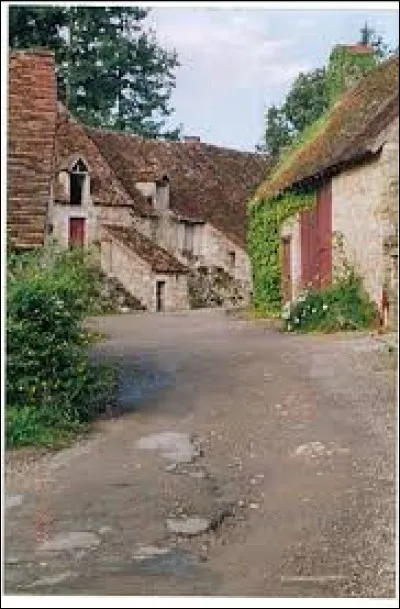 Je vous emmène maintenant dans le Centre-Val-de-Loire, à Château-Guillaume. Lieu-dit du village de Lignac, dans l'arrondissement du Blanc, il se situe dans le département ...