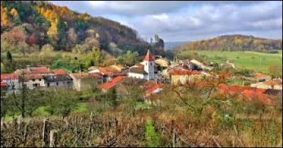 Village de Lorraine, dans l'arrondissement de Toul, Laneuveville-derrière-Foug se situe dans le département ...