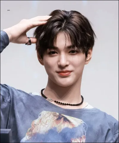 Sais-tu si ton bias a d&eacute;j&agrave; &eacute;t&eacute; acteur ou a d&eacute;j&agrave; &eacute;t&eacute; pr&eacute;sentateur d'une &eacute;mission cor&eacute;enne ?