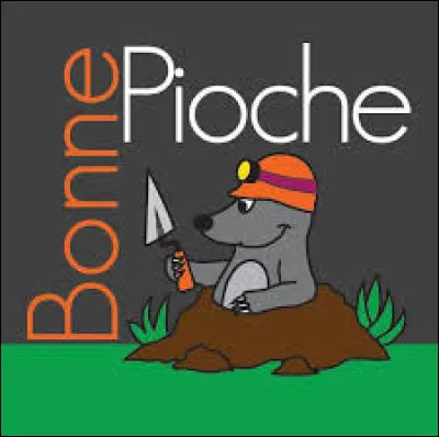 Bonne pioche : Quand débuta le premier empire ?