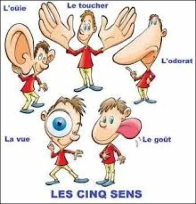 Quel est le problème des personnes atteintes d'anosmie ?