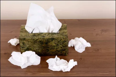 À quelle vitesse un mouchoir se décompose-t-il dans l'environnement naturel ?