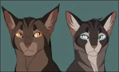 Qui est son demi-frère ?