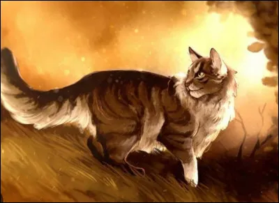 Est-ce que c'est un des meilleurs personnages de LGDC ?