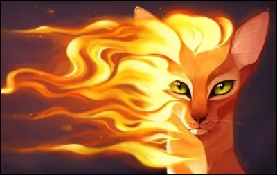 Qui est son mentor ?