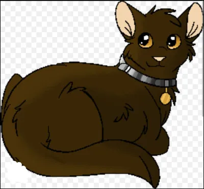 Qui est sa "crush" ?