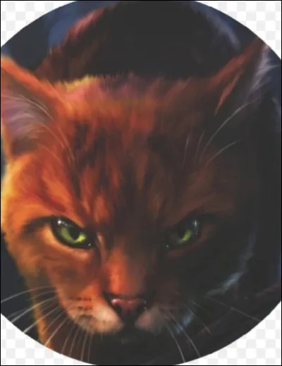 De qui est-il lieutenant ?