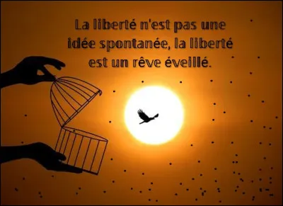 Un voleur a cambriolé une bijouterie, et les gendarmes l'ont interrogé au poste de police.
Il dit que c'est son gang qui l'a forcé, et même menacé.